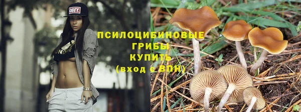 PSILOCYBIN Верхнеуральск