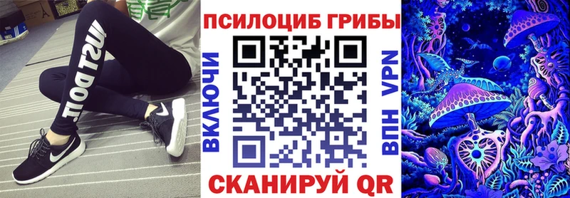 Галлюциногенные грибы Psilocybe  МЕГА ONION  Искитим 